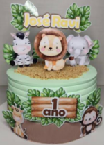 Topo Safari teste